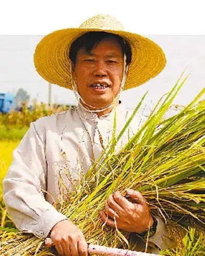 人民大会堂推销土豆，收1500个农民学生，10亿专利无偿送出，64岁的农民院士朱有勇火了！