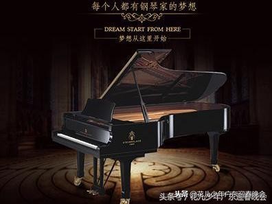 斯坦劳莱斯钢琴官网,斯坦劳莱斯钢琴与珠江钢琴