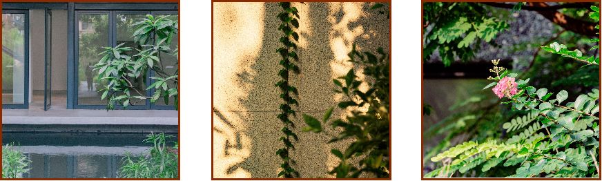 深圳风景最好的岛,深圳有个什么旅游岛