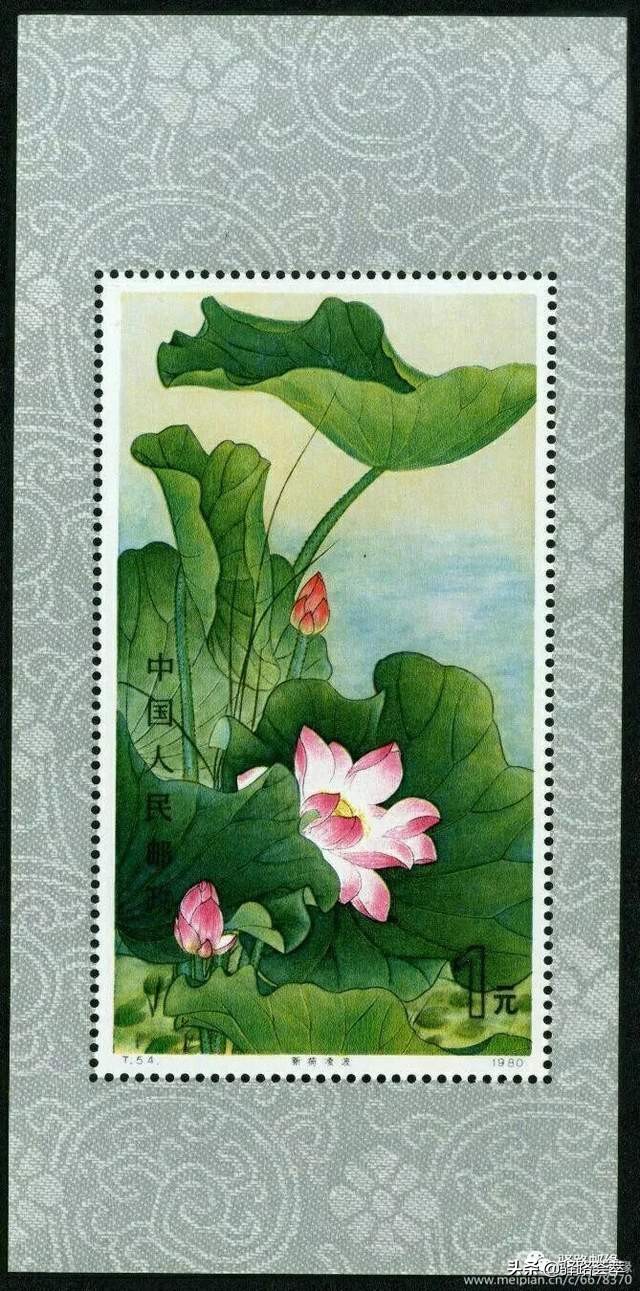 柯汝读邮：荷花T54映日荷花别样红