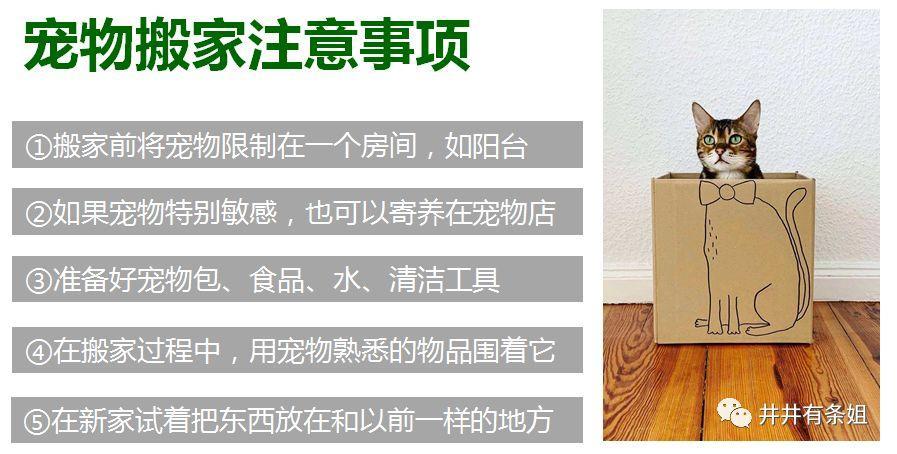 搬家累简直要命,新手搬家最省钱的方法