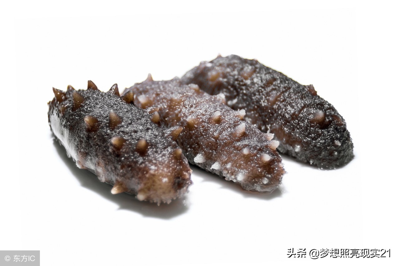 海参内幕深度揭秘99%的人不知道,关于海参的内幕