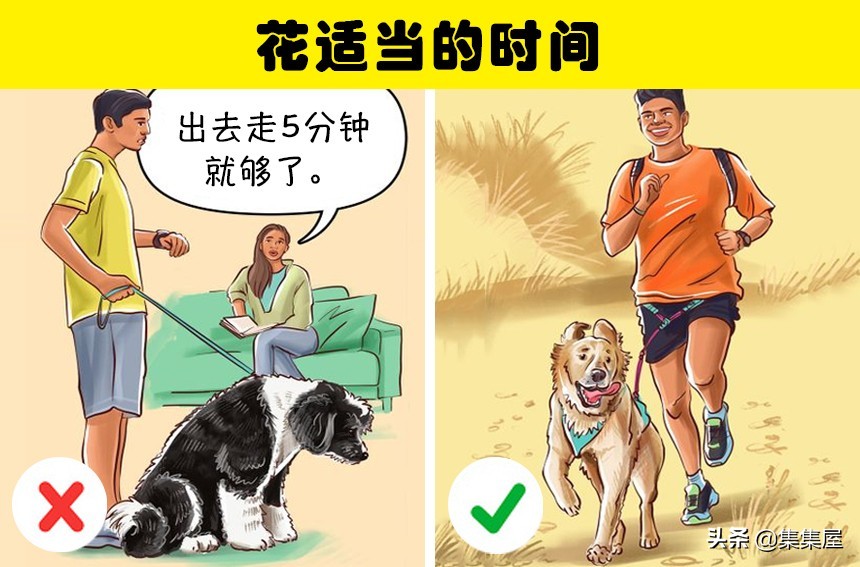 狗狗总是撑开牵引绳,狗狗老是挣脱脖套背带怎么办