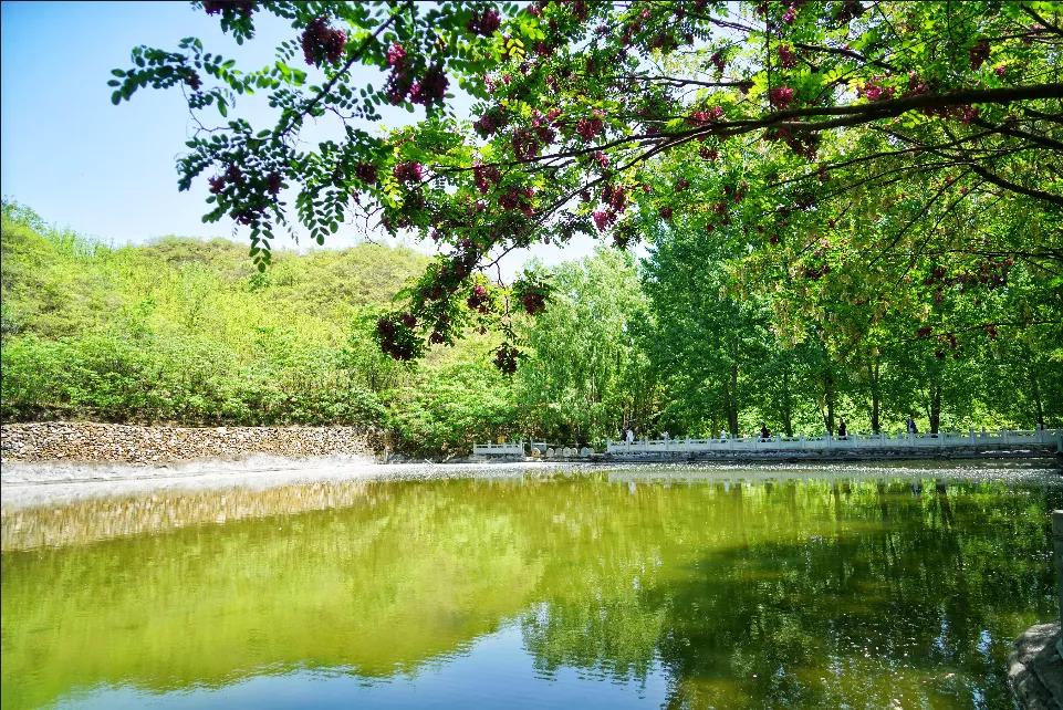 研学旅行不虚此行,研学旅游期待回归