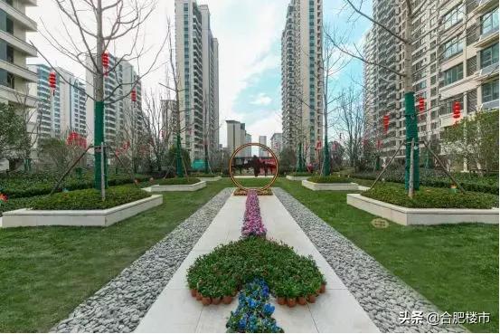 三进合肥“100亿俱乐部”，旭辉把百亿养成了习惯