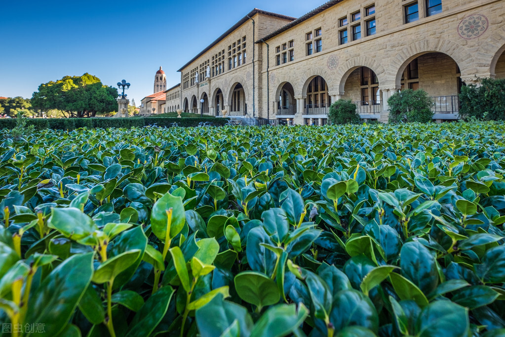 世界顶级商科大学专业排名一览表,世界十大商科学院排名
