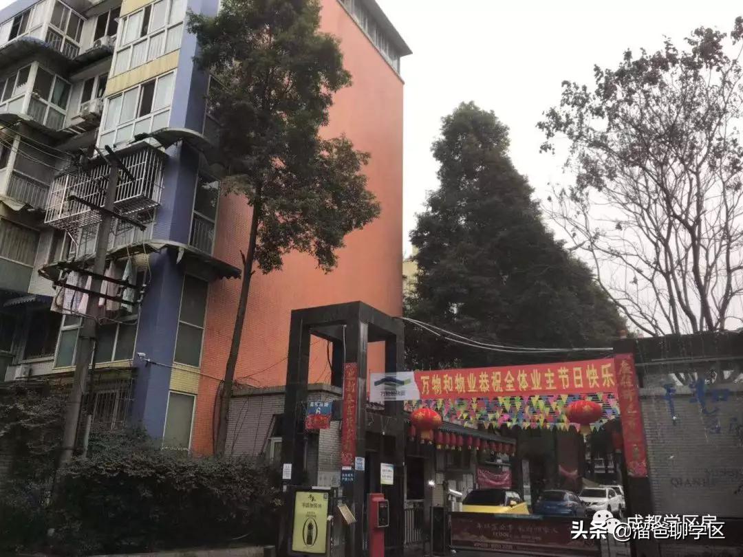 石笋街和茶店子小学怎么选,茶店子小学vs石笋街小学选哪个