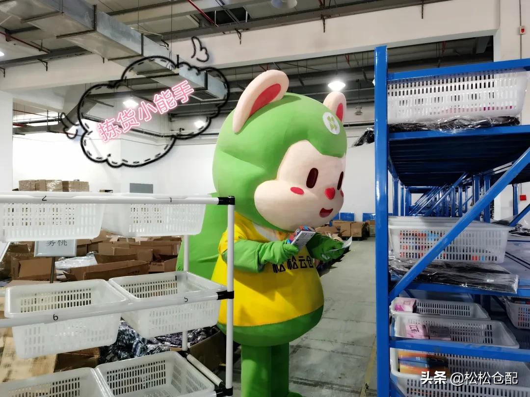 进击的松小裹丨打工人松小裹的学徒之旅