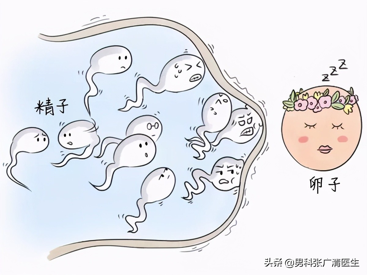 每个人都是英雄电影完整版,每个人都是英雄原文