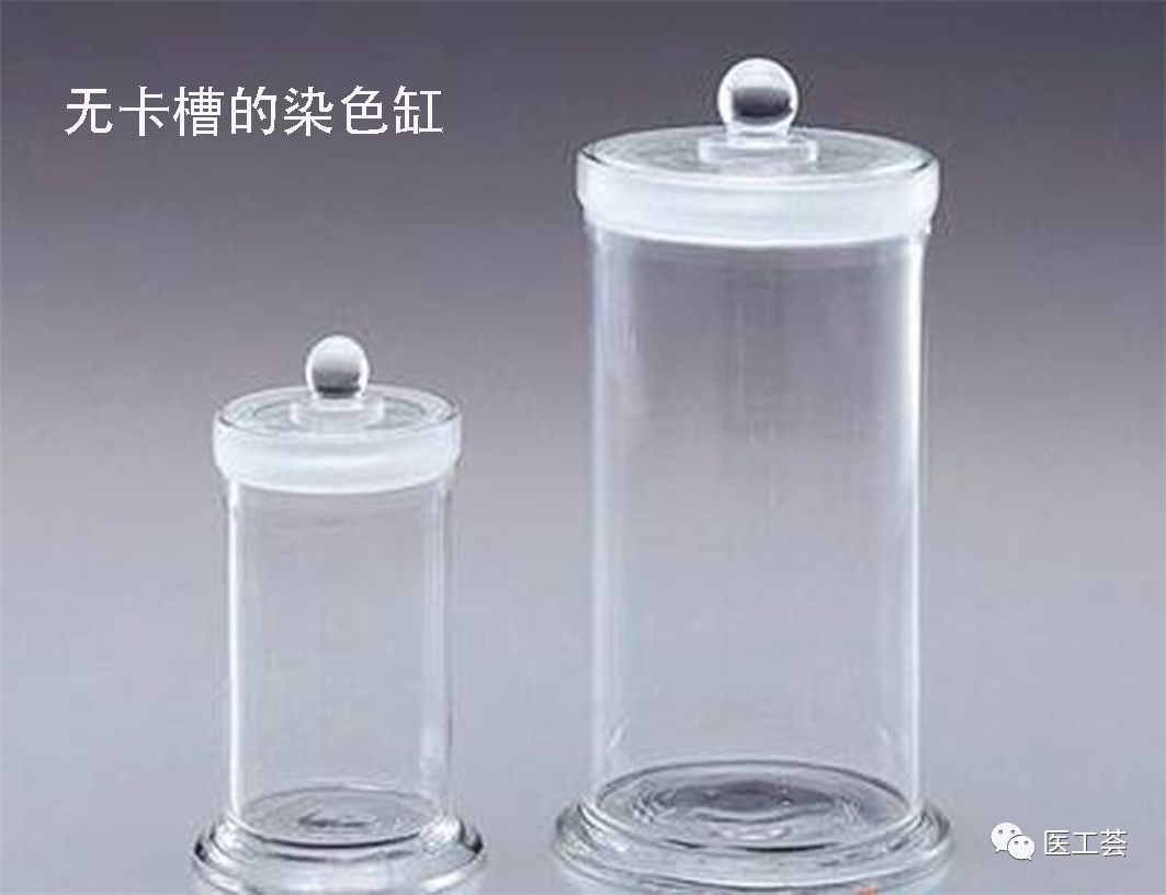 全套生物医学实验技术,免疫组化染色实验结果分析