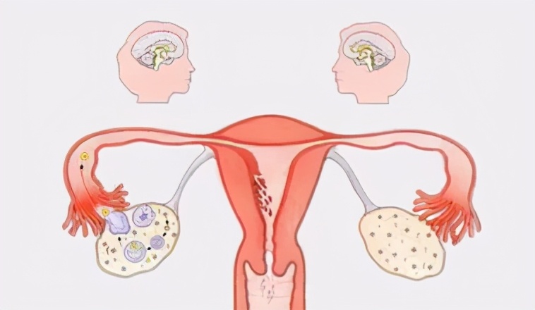 大姨妈来了还继续吃叶酸吗,大姨妈来了还要继续吃孕酮吗