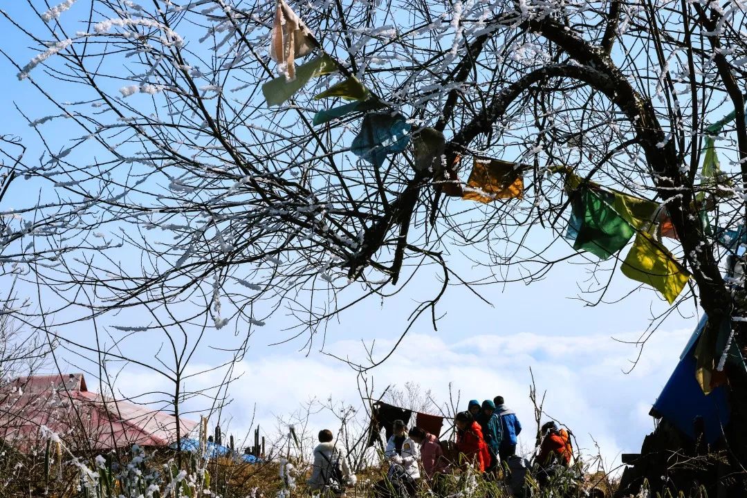 成都天台山景区自驾游攻略,成都天台山玩雪