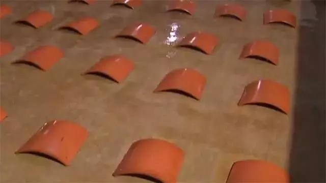 水泥池养龙虾有假的吗,龙虾水泥池养殖方法图解