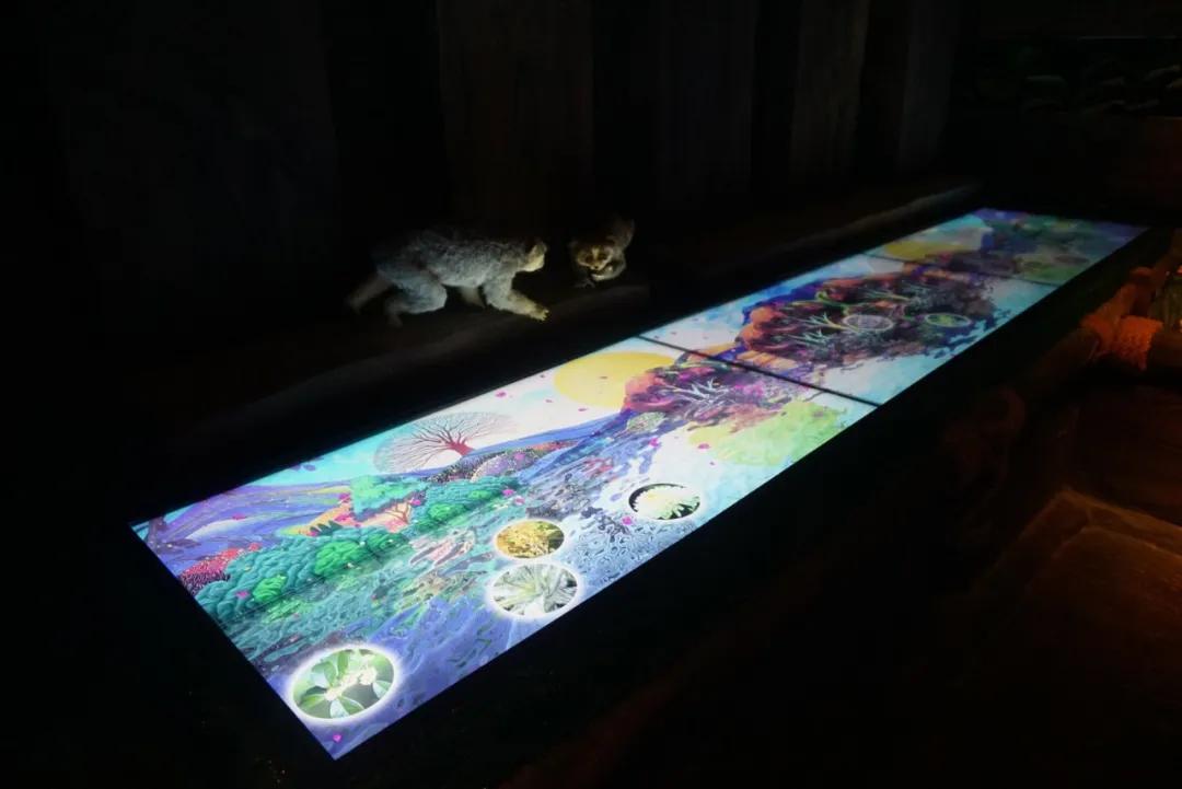 占地30000㎡！这艘建在安华汇天台上的巨船，竟是亲子乐园