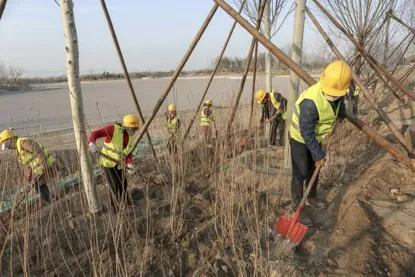 昌平新城滨河森林公园足球场,昌平未来科技城足球场