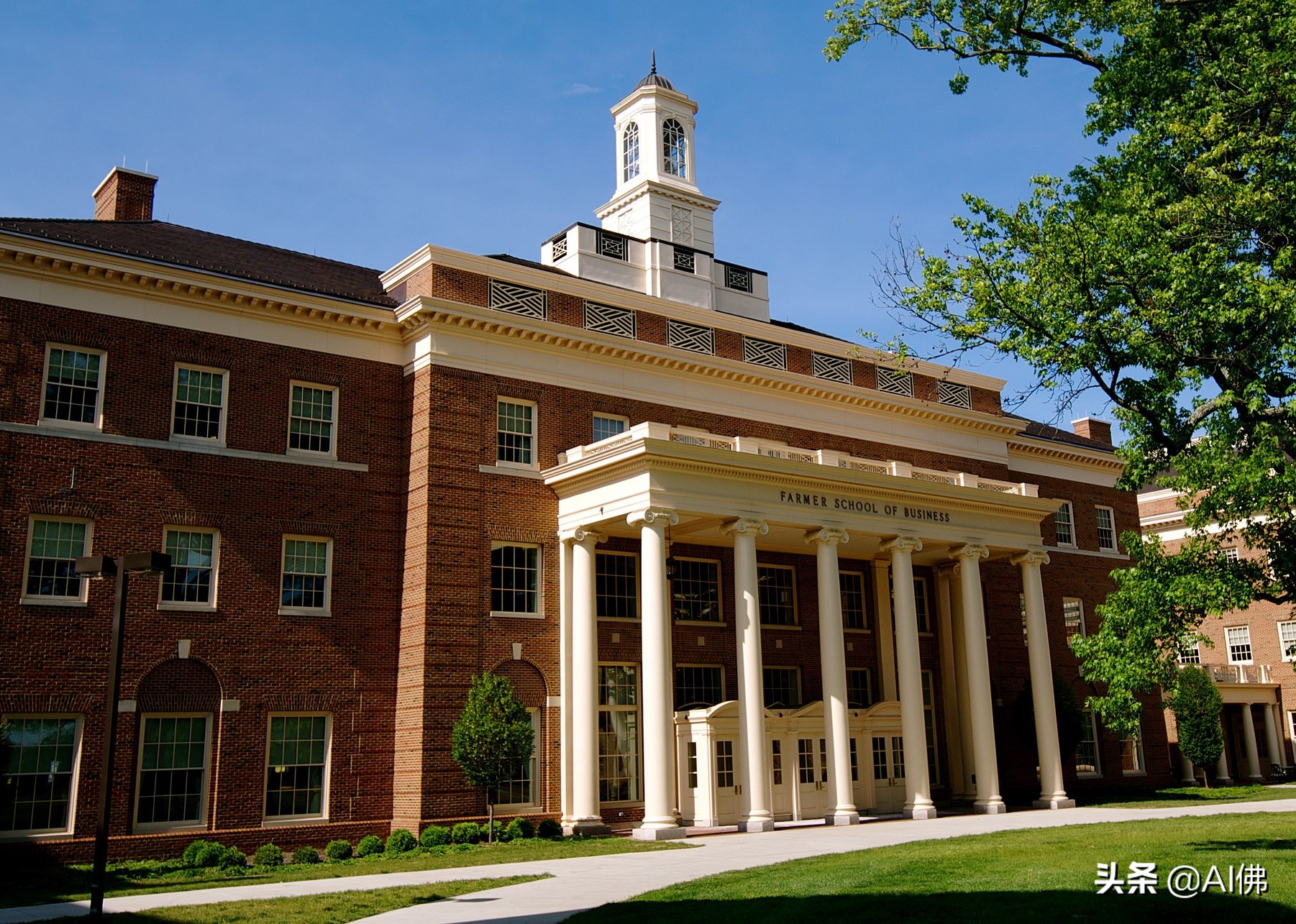 美国东部公立大学排行榜,美国各州最好的公立大学