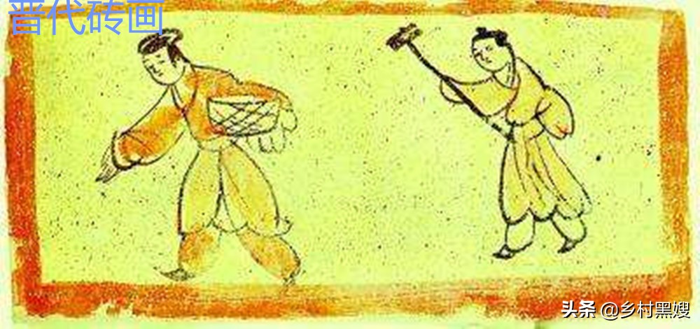 芋头来自哪里,芋头源头