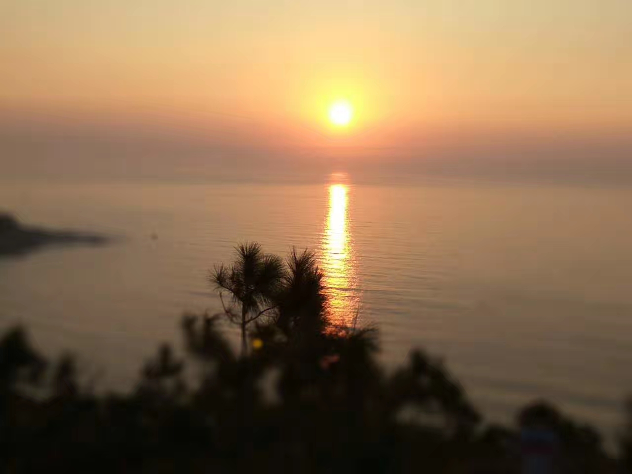 我在阳西等你沙宝亮,我在阳西等你词曲