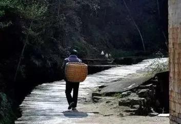 我的大本家灵山村