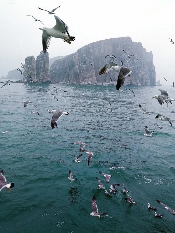 山东长岛自驾游,山东省长岛自驾游攻略