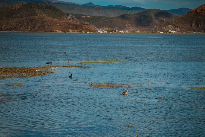 消失的地平线上的“香巴拉”和“女儿国”（二）