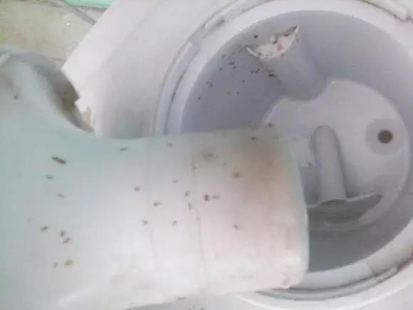 饮水机为啥不流行了,老式饮水机为什么会被淘汰