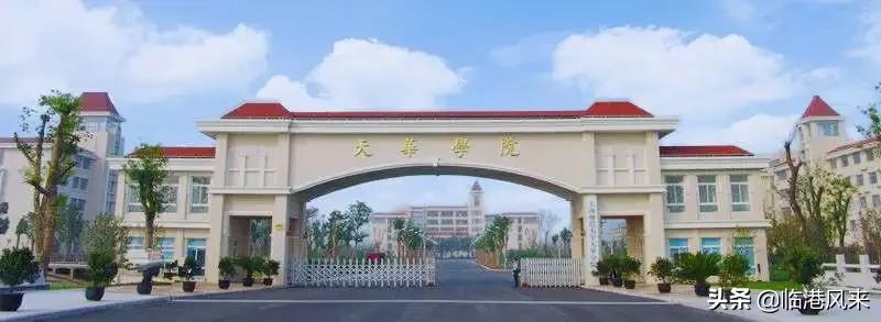 上海有值得一逛的大学吗,上海各大学最适合参观的校区