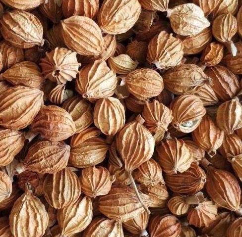 烧菜常用的香料名称和配方,香料图片名称大全常用