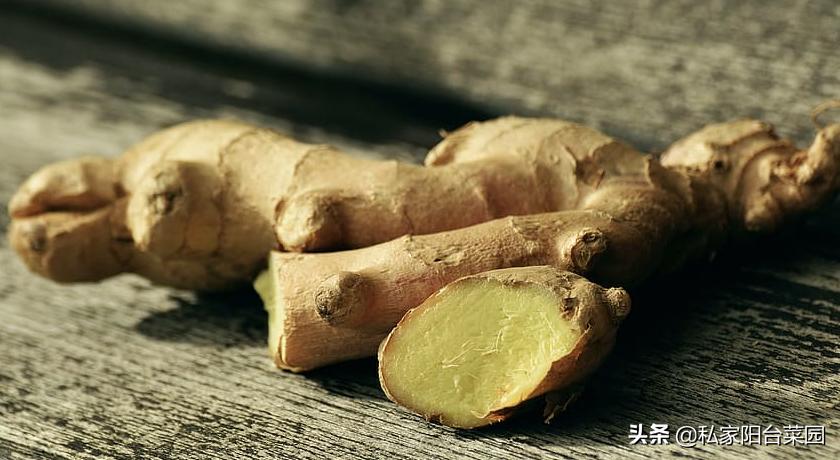 生姜怎样种植才能出姜率高,如何反季节种植生姜