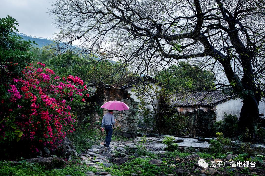恩平拍客郑君文：用快门定格家乡变迁