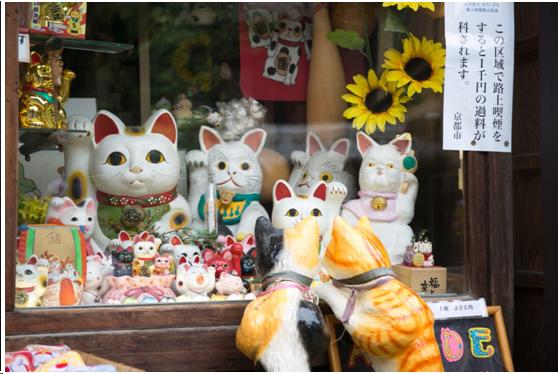 来到日本不能错过章鱼小丸子,来东京不能错过的地方