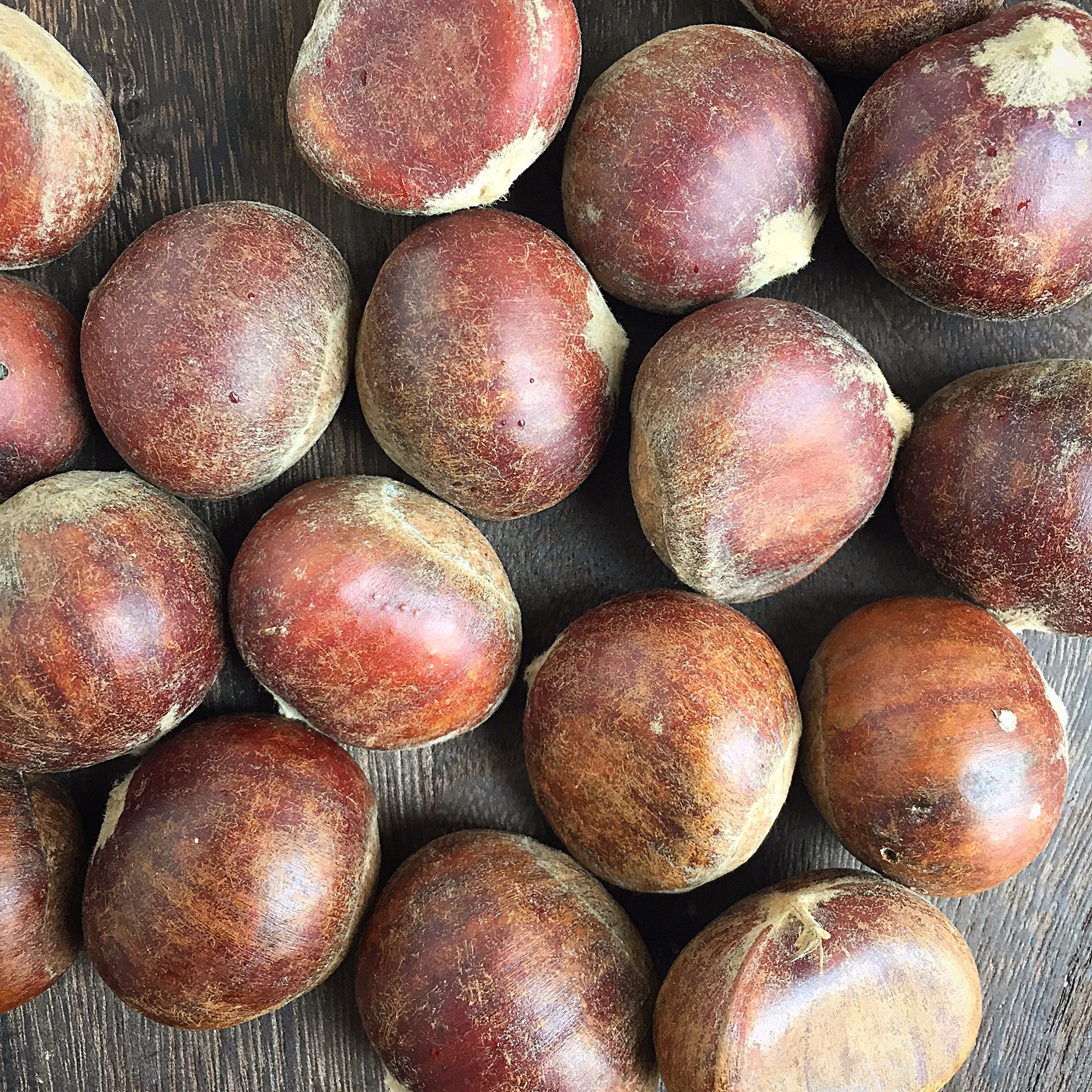 挑选板栗,怎样挑选板栗不容易变黑