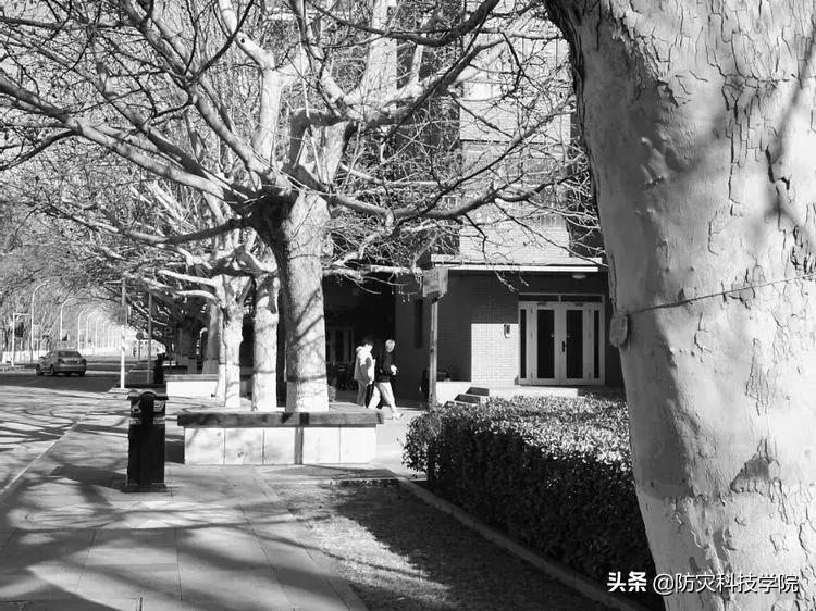 震校往事怀想(三):举校东迁共克时艰