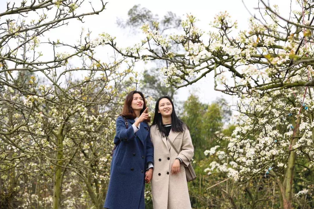 自驾旅游沿着g30高速公路看风景,沿g318去拉萨一路海拔