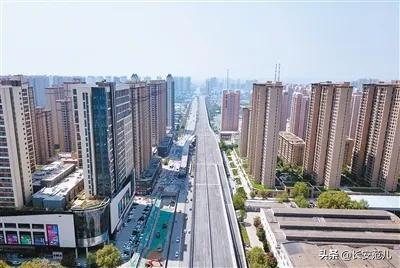 西安幸福林带绿化招标中标公告,西安幸福林带两边拆迁最新规划