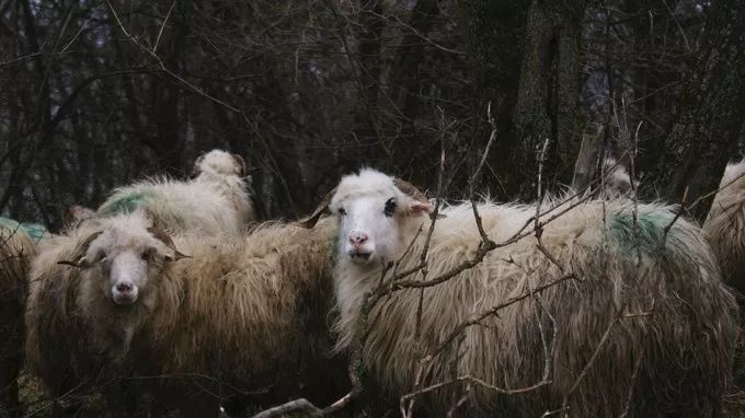 #我的2018#心中梦想的地方，你都去旅行了吗？（人物篇）