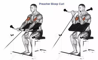 健身达人轻轻松松练出一身肌肉,健身完美逆袭励志瘦子变肌肉男