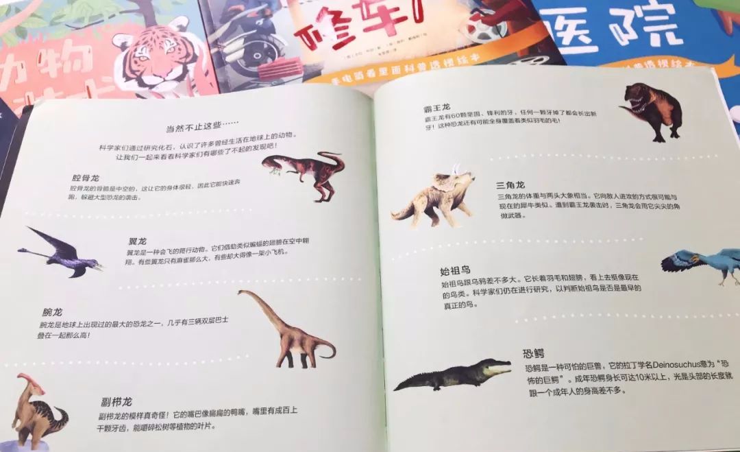 这套让娃沉迷一整天的科普书，连大人都忍不住偷着玩！畅销300万