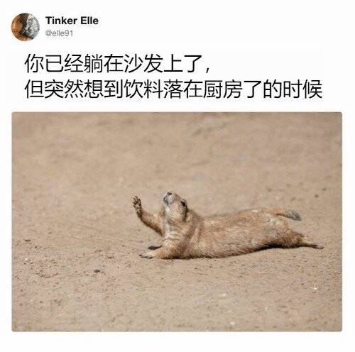 buzzfeed进行了什么创新,buzzfeed内容