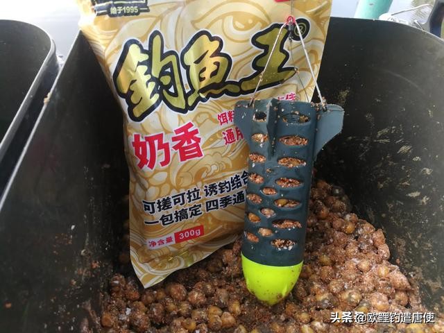 欧洲疫情催生钓鱼热？名企推新手套装钓大鲤鱼