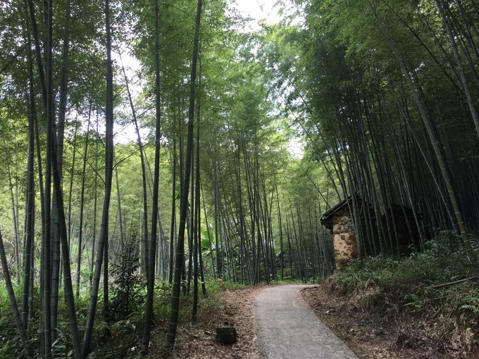 从化溪头自驾游视频,从化溪头村一日游路线