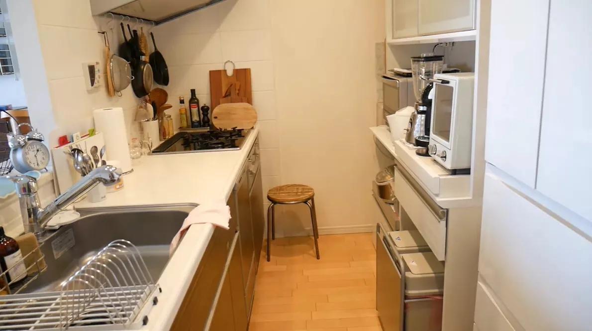 日本丁克家庭多吗,日本主妇有多少不上班