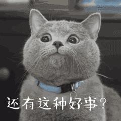 只涨不跌的澳洲大学开始退学费了？专门给海外留学生