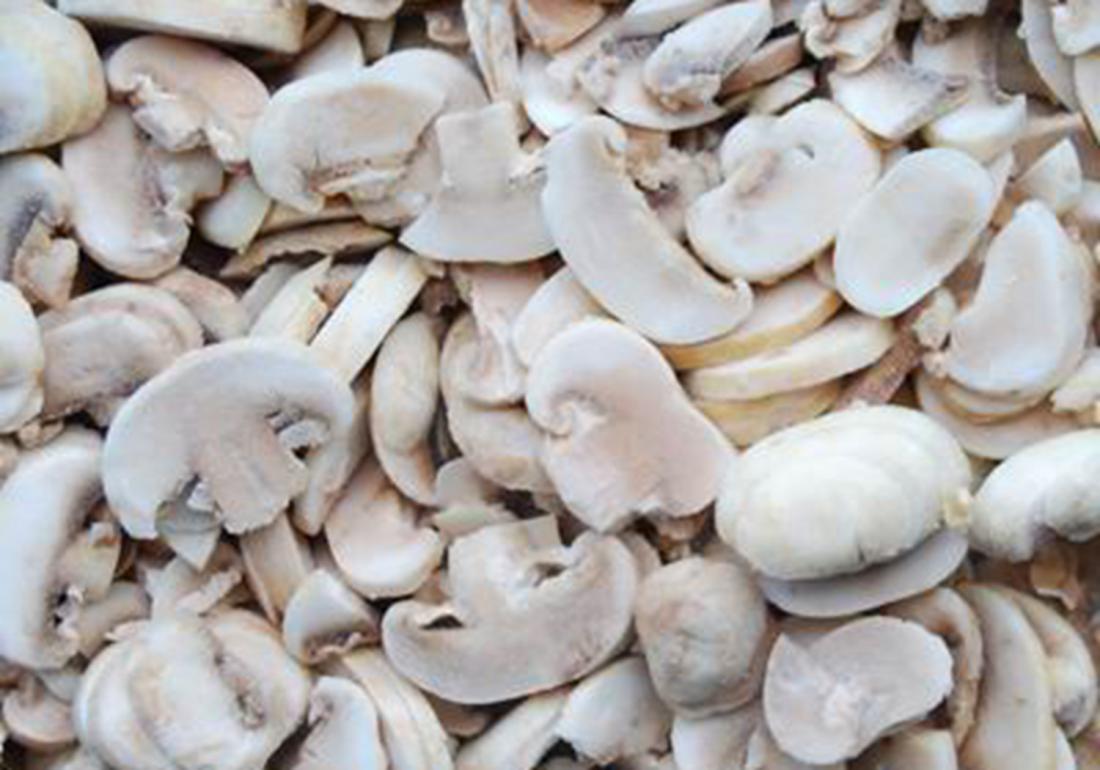 双孢菇怎么栽培种植,双孢菇种植需要什么条件