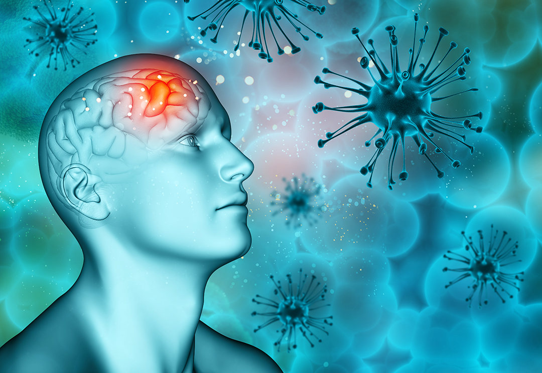 我梦到丧尸病毒爆发了,我梦到丧尸爆发了