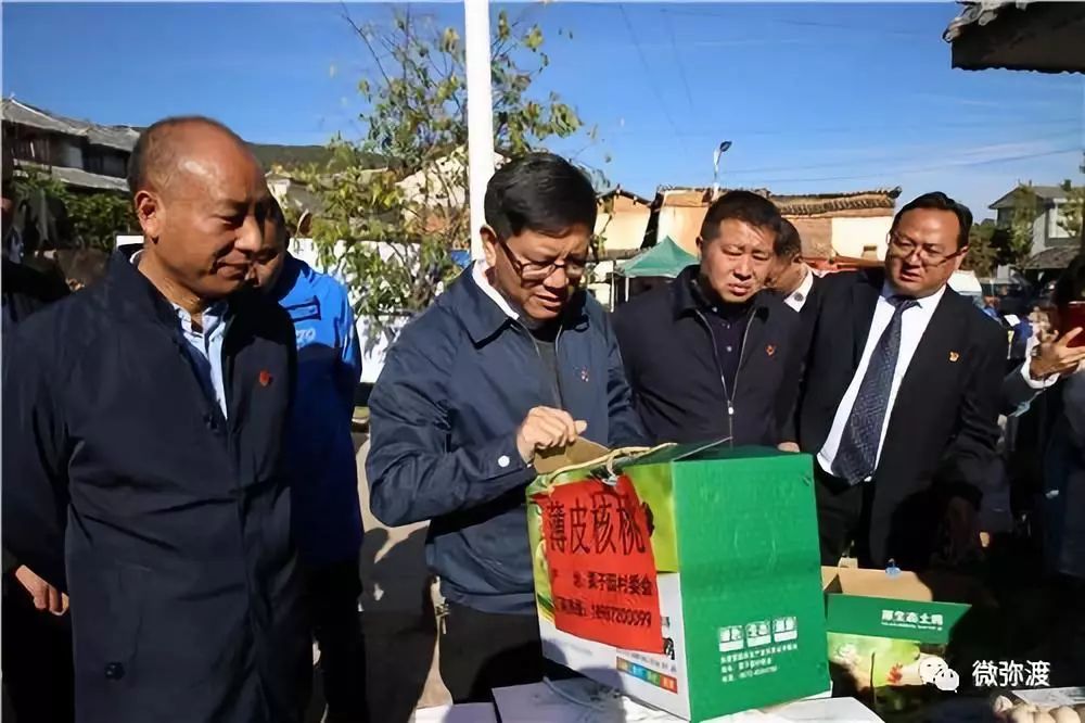 冬桃挑起农特“群英汇”，雾本丰收季电商很给力