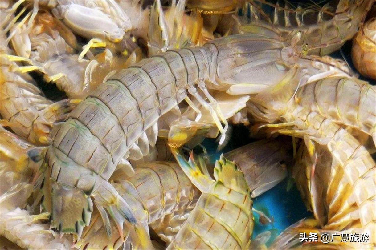 日照旅游酒店订哪里便宜,日照旅游吃海鲜