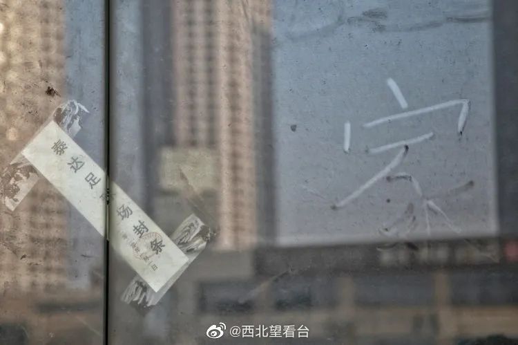 津门虎和泰达谁有钱,天津泰达和天津津门虎