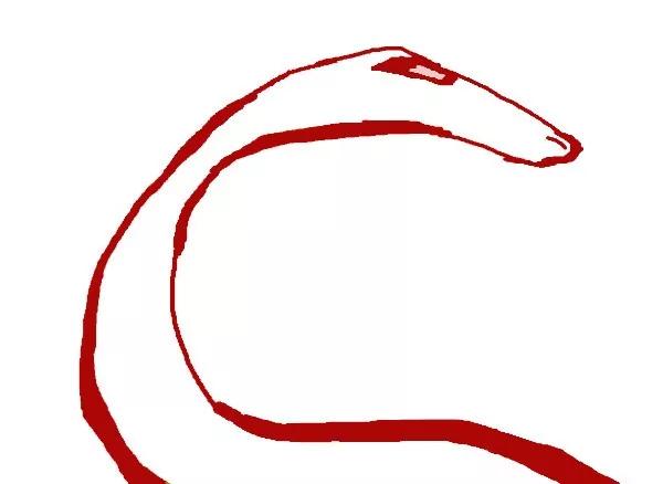 鍥涘窛鐪佸悇甯傚窞杞︾墝鍙疯〃,鍥涘窛鍚勫煄甯傝溅鐗屽彿澶у叏