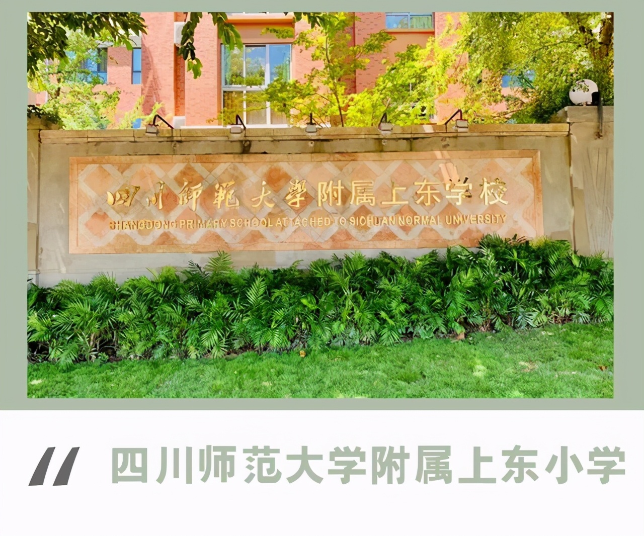 小升初学校推荐看哪次成绩,小升初必看数学题
